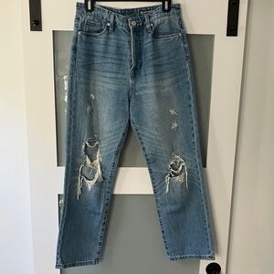 Blank NYC Light Blue Distressed Boyfriend Jeans